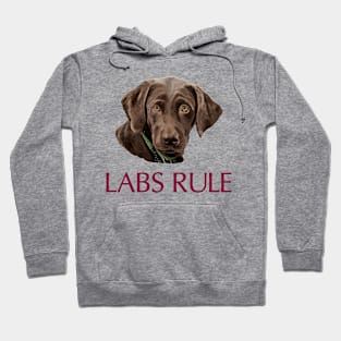 Chocolate Labs Rule Hoodie